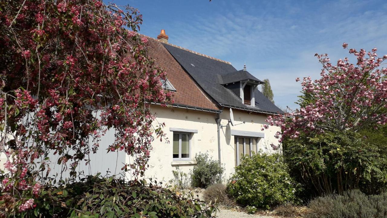 Gite La Fortaiserie Rillé Exterior foto